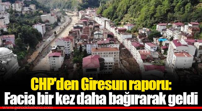 CHP'den Giresun raporu: Facia bir kez daha bağırarak geldi