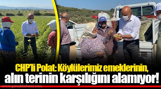 CHP’li Polat: Köylülerimiz emeklerinin, alın terinin karşılığını alamıyor!