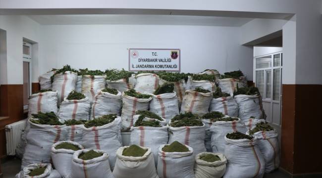 Diyarbakır'da 4 milyon 623 bin 280 kök kenevir ve 800 kilogram esrar bulundu