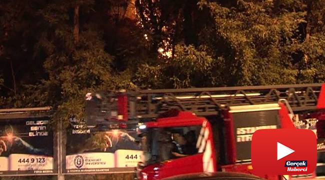 Emirgan Korusu’nu yakan şüpheli hakkında jet iddianame