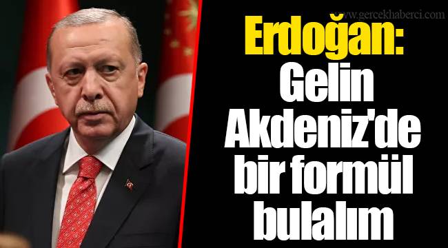 Erdoğan: Gelin Akdeniz'de bir formül bulalım