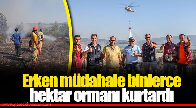 Erken müdahale binlerce hektar ormanı kurtardı