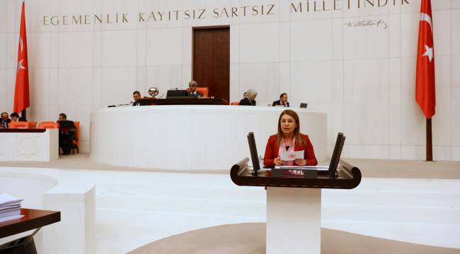Gülizar Biçer Karaca 'Linkli Yanıtlarla Denetim Hakkı İhlal Ediliyor'