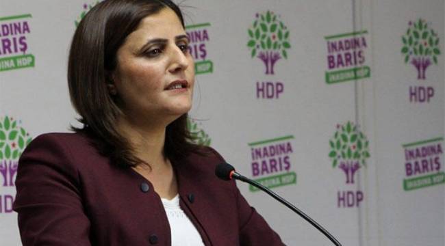 HDP'li Taşdemir: Ağrı'da test sonuçları bir hafta, 10 günde çıkıyor