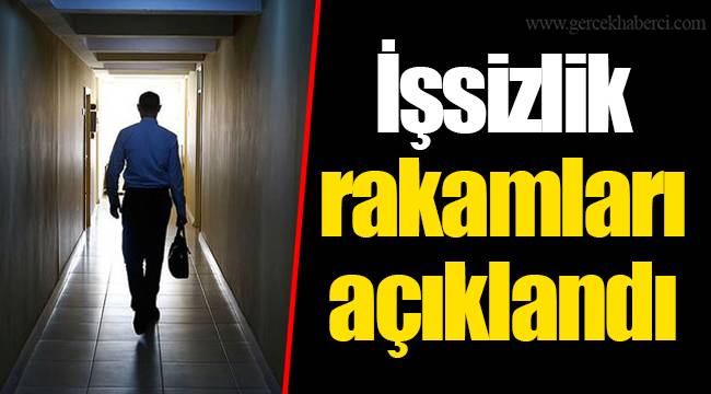 İşsizlik rakamları açıklandı