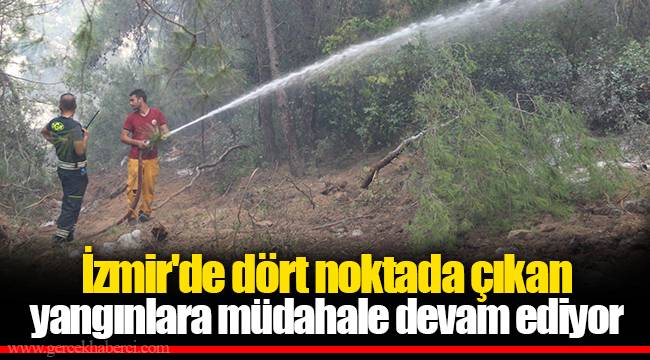 İzmir'de dört noktada çıkan yangınlara müdahale devam ediyor