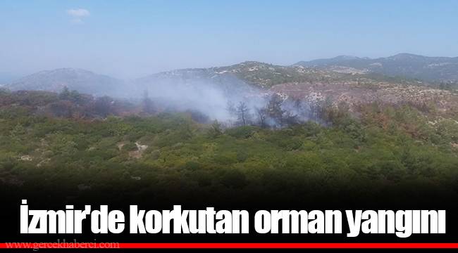 İzmir'de korkutan orman yangını