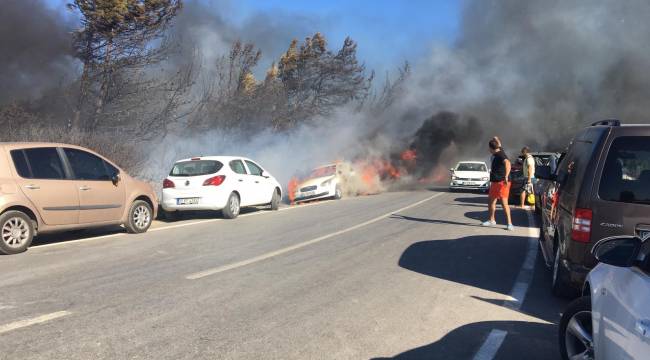 İzmir'de yangın: yaklaşık 50 araç küle döndü