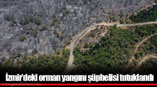 İzmir’deki orman yangını şüphelisi tutuklandı