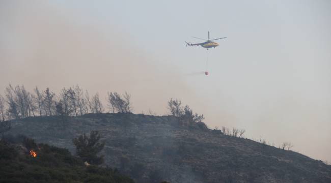 İzmir'deki yangında havadan söndürme çalışmaları yeniden başladı