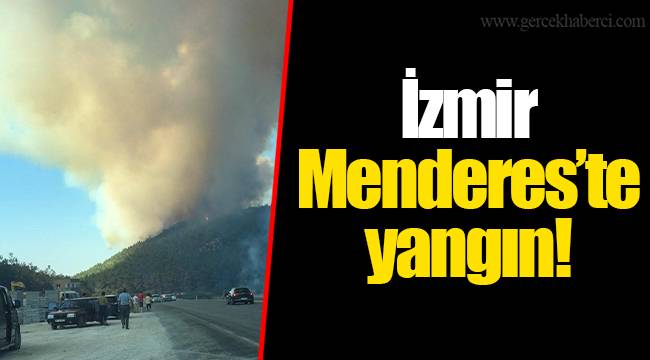 İzmir Menderes'te yangın!