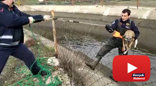 Kahraman itfaiyeciler 3 canı ölümden böyle kurtardı