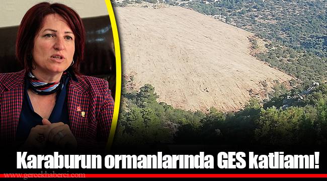 Karaburun ormanlarında GES katliamı!