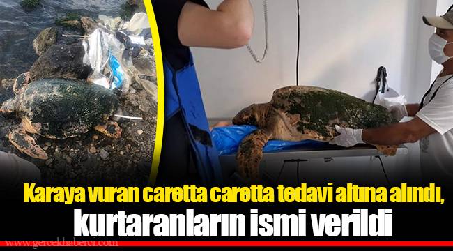 Karaya vuran caretta caretta tedavi altına alındı, kurtaranların ismi verildi