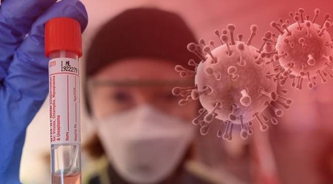 Koronavirüs vaka sayısı 18 milyonu aştı