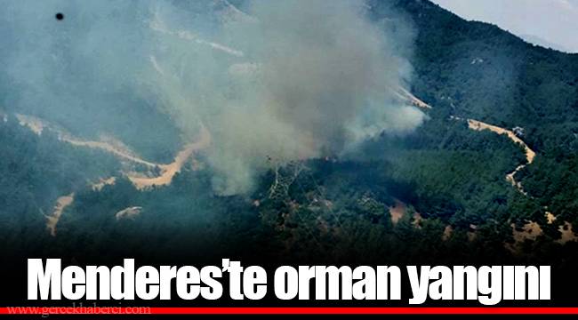 Menderes'te orman yangını
