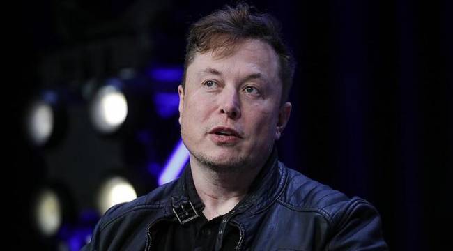 Musk, beynine çip yerleştirilen domuzları tanıttı