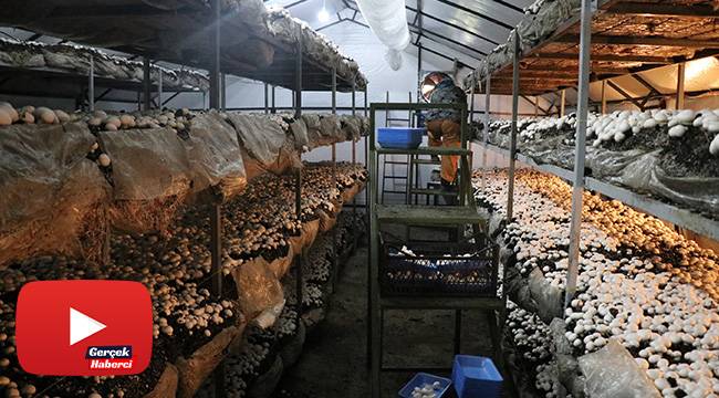 Sağlık sorunları nedeniyle başladığı işten 50 günde 25 bin TL kazanıyor
