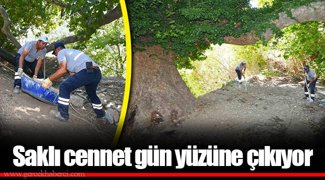 Saklı cennet gün yüzüne çıkıyor