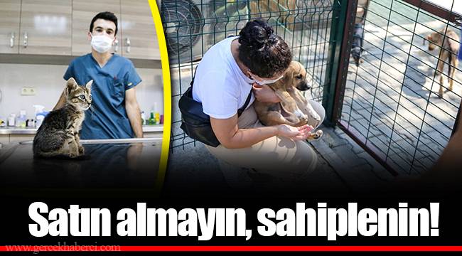 Satın almayın, sahiplenin!