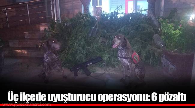 Üç ilçede uyuşturucu operasyonu: 6 gözaltı