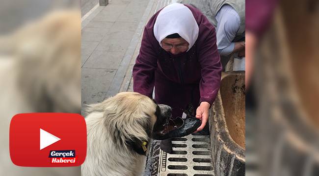 Yaşlı kadının yaptığı hareket gönülleri fethetti