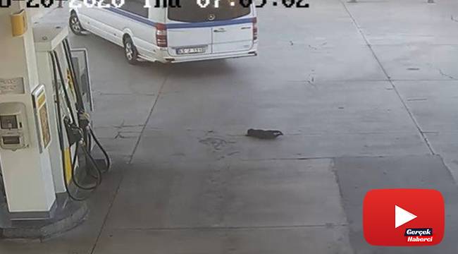 Yavru köpeği göz göre göre ezen sürücü: "Onun geçmesini mi bekleyecektim"