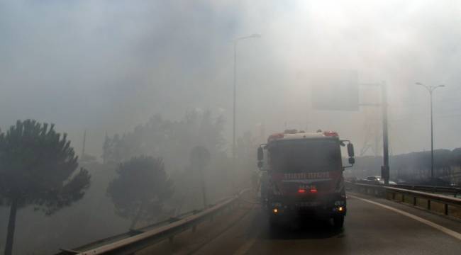 Yol kenarında çıkan yangında göz gözü görmedi