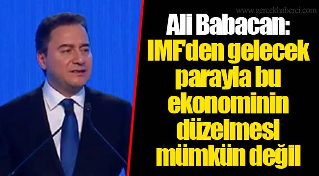 Ali Babacan: IMF'den gelecek parayla bu ekonominin düzelmesi mümkün değil