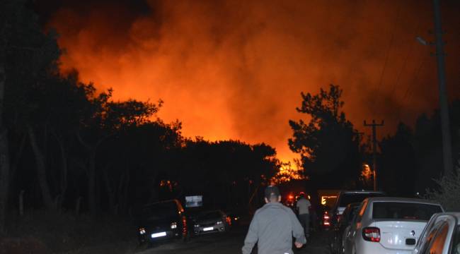 Ayvalık’taki orman yangını kontrol altına alındı