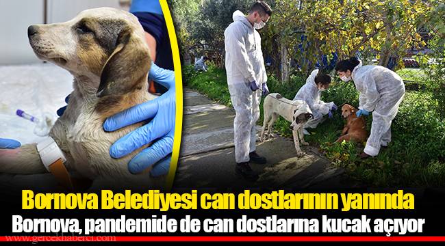 Bornova Belediyesi can dostlarının yanında