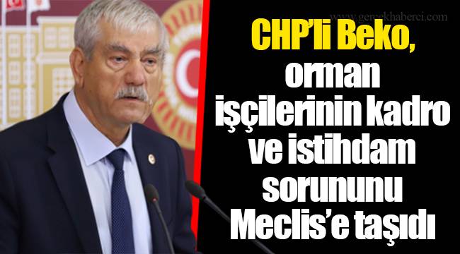 CHP’li Beko, orman işçilerinin kadro ve istihdam sorununu Meclis’e taşıdı