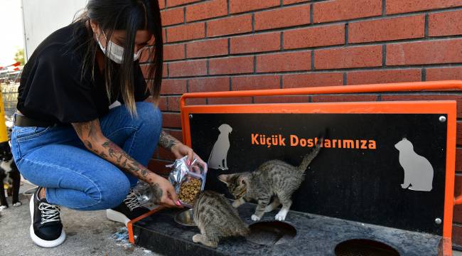 Çiğli Belediyesi Sokak Sakinlerini Unutmadı