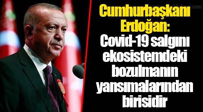 Cumhurbaşkanı Erdoğan: Covid-19 salgını ekosistemdeki bozulmanın yansımalarından birisidir