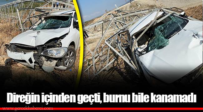 Direğin içinden geçti, burnu bile kanamadı