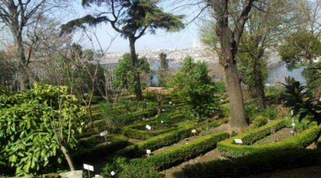 Diyanet'e her gün yeni bir arazi tahsis ediliyor