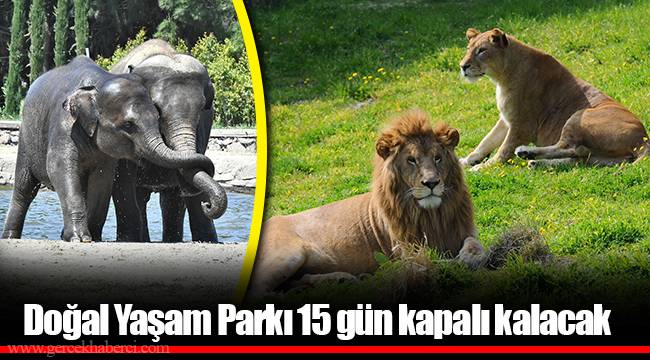Doğal Yaşam Parkı 15 gün kapalı kalacak