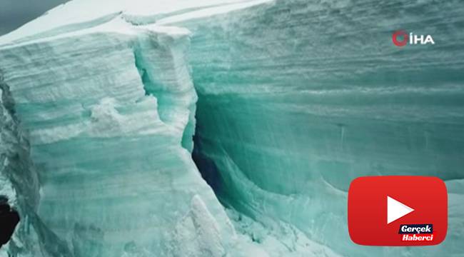 'Gezegenin kara kutusu: Antarktika' belgeseli gün sayıyor