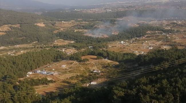 İzmir&#039;de ormanlık alanda yangın