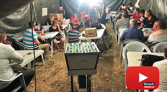 Jandarmayı şaşkına çeviren operasyon: Tarlanın ortasına çadır kurup kumar oynadılar