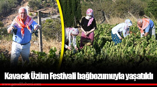Kavacık Üzüm Festivali bağbozumuyla yaşatıldı