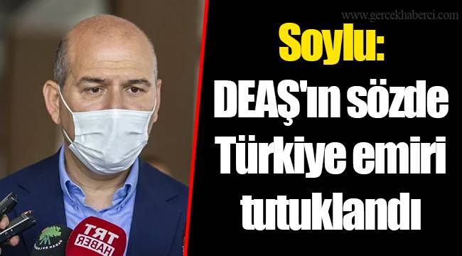 Soylu: DEAŞ'ın sözde Türkiye emiri tutuklandı