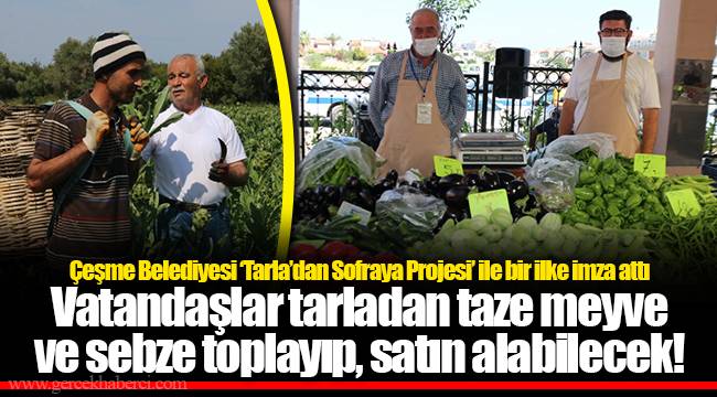 Vatandaşlar tarladan taze meyve ve sebze toplayıp, satın alabilecek!