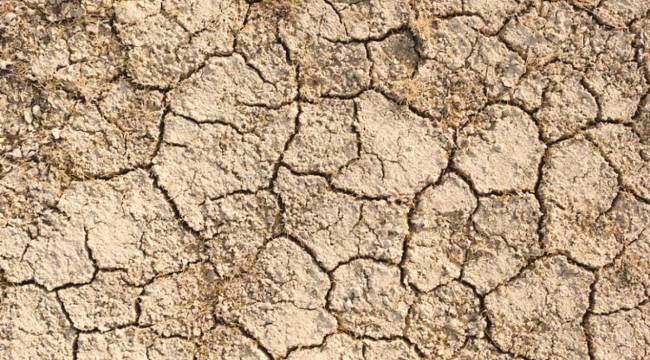 Yeni araştırmaya göre, 50 milyon yıldır görülmeyen sıcaklıklar geliyor
