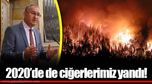 2020’de de ciğerlerimiz yandı!