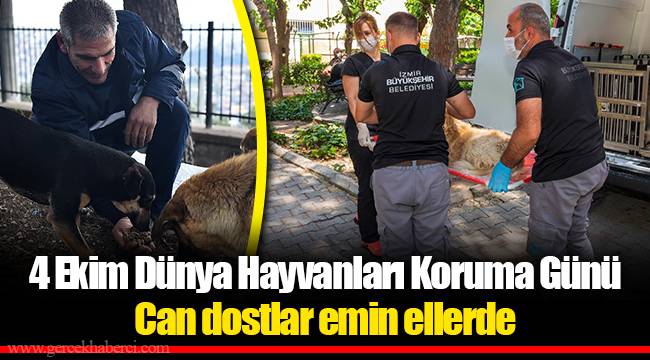 4 Ekim Dünya Hayvanları Koruma Günü