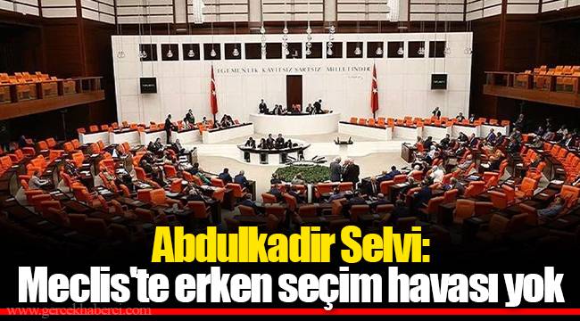 Abdulkadir Selvi: Meclis'te erken seçim havası yok