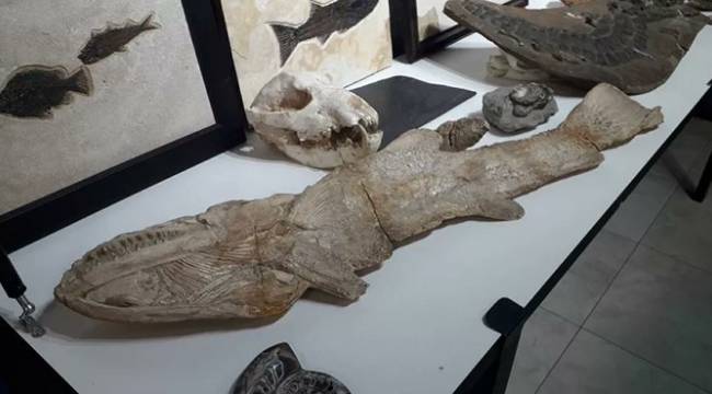 Adnan Oktar&#039;ın evlerinden 150 milyon yıllık, 10 milyon dolar değerinde fosil çıktı