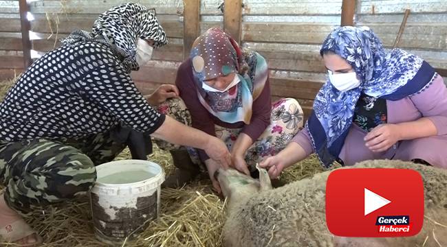 Aniden fenalaşıp yere düşüyorlar