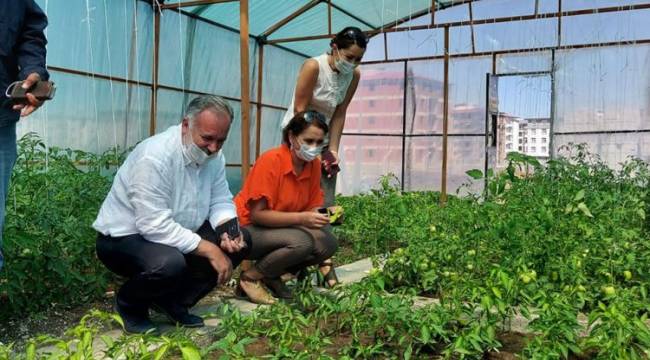 Atanan kayyım Kars Belediyesi'nin kurduğu kooperatifle ilişkisini kesti; internet sitesindeki ilgili bölüm de kaldırıldı